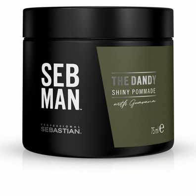 SEBMAN THE DANDY shiny pommade 75ml