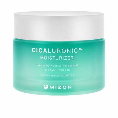 Moisturizing face cream for dry and sensitive Haut Cicaluronic (Moisturizer) 50ml