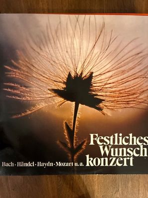 Festliches Wunschkonzert