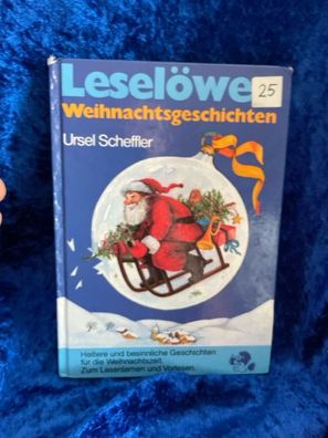 Leselöwen-Weihnachtsgeschichten