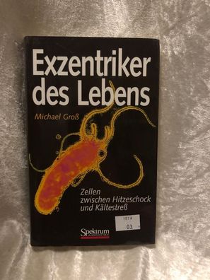 Exzentriker des Lebens: Zellen zwischen Hitzeschock und Kältestreß
