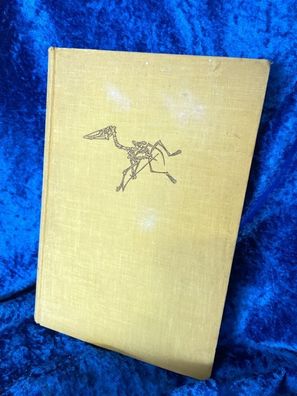 Am Anfang schuf Gott Himmel und Erde. Eine Geschichte der Erde und des Lebens