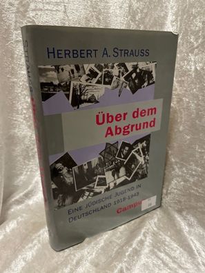 ßber dem Abgrund. Eine jédische Jugend in Deutschland 1918-1943
