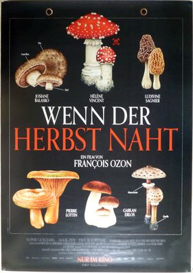 Wenn der Herbst naht - Original Kinoplakat A0 - Hélène Vincent - Filmposter