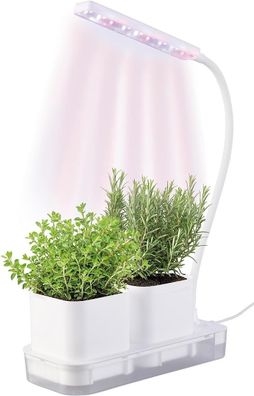 NEU Mini Gewächshaus 2 Töpfe Wachstums LED Wassertank für Anzucht Kräuter Blumen