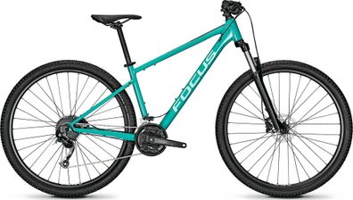 Focus Whistler 3.6 Bluegreen 29" Diamant MTB Hardtail in Türkis
