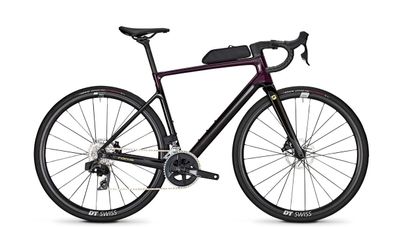 Focus Paralane 8.8 Darkviolet glossy / Carbon raw glossy 28&quot; Diamant Rennrad in