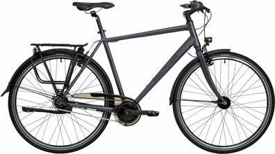 Panther Caraz 5.0 anthrazit matt 28&quot; Diamant Cityrad & Urban Bike in Anthrazit