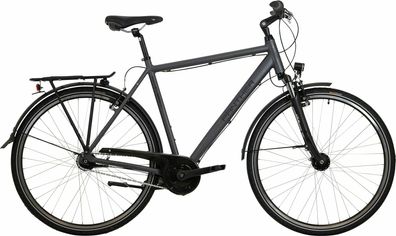 Panther Caraz 3.0 anthrazit matt 28&quot; Diamant Cityrad & Urban Bike in Anthrazit