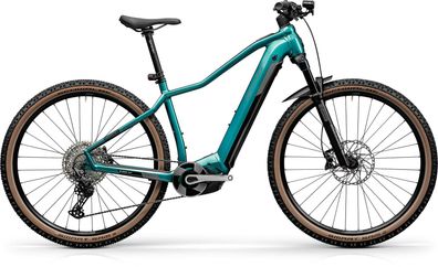 Centurion Backfire Fit R800i lagunagrün 29&quot; 750 Wh Diamant E-MTB Hardtail in Tür