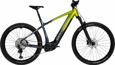 Corratec E-Power X-Vert Pro Team Green/Dark Gray/Silver 29" 27,5" 750 Wh Di
