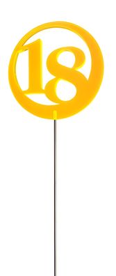 Elliot Lichtzauber Jubiläumsz 18, 6 cm orange mit 25 cm Stab