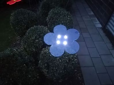 Elliot Lichtzauber Blume Mag 25cm blau 150cm Stab gemufft