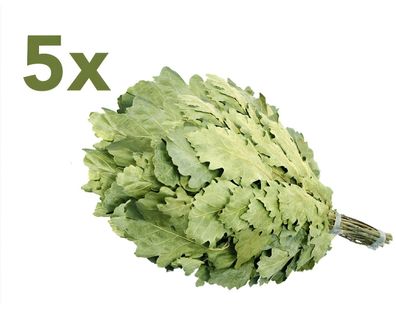 Eichenreisig 5 x 50-60 cm Eichenquast Eichenzweig Sauna Wenik Banja Saunazubehör