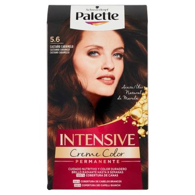 Dauerfärbung Palette Schwarzkopf Kastanie hell N 5,6
