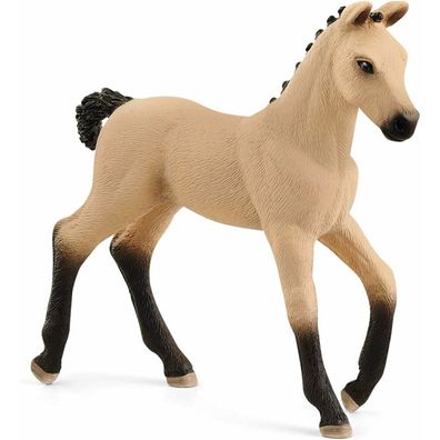 Der kleine Spatz - Hanoverian Hills