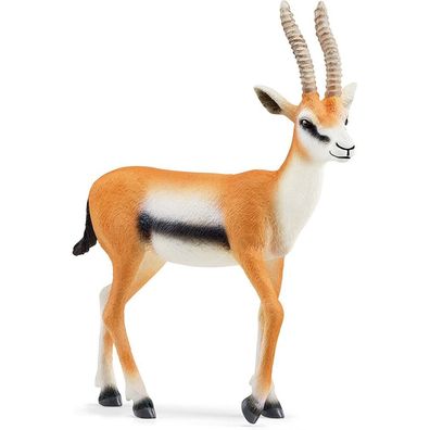 Wild Life Thomson Gazelle