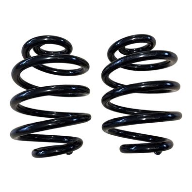 2 x Federn Feder Fahrwerksfedern hinten Hinterachse VW Bus T2 T3