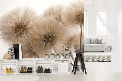 Vlies Fototapete Löwenzahn Beige Natur Braun TAPETE XXL Wohnzimmer Schlafzimmer