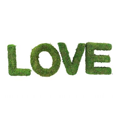 Set 4 Moos Buchstaben Love 20 CM hoch Chaks