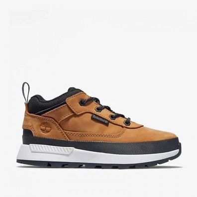 Trekking-Schuhe Timberland Field Trekker fér Herren