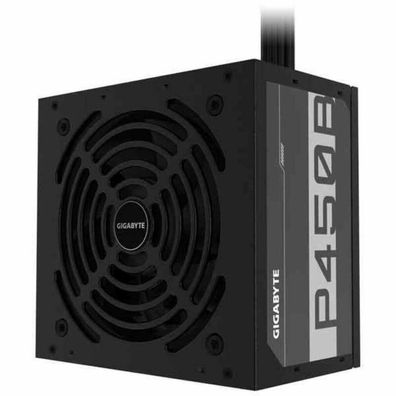 GP-P450B (schwarz, 2x PCIe, 450 Watt)
