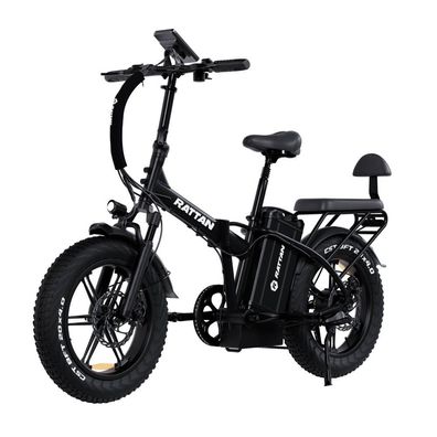 RATTAN LM Ultra E-Bike 1800W Motor 48V40.5Ah Akku 20 Zoll Reifen