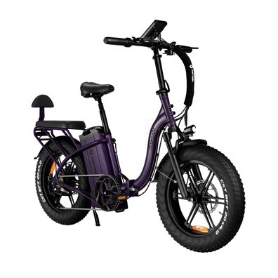 RATTAN LF Ultra E-Bike 1800W Motor 48V40.5Ah Akku 20 Zoll Reifen