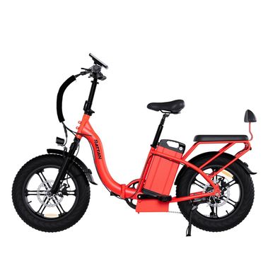 RATTAN LF Ultra E-Bike 1800W Motor 48V40.5Ah Akku 20 Zoll Reifen