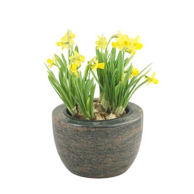 Grabschale "Modern" D= 24cm