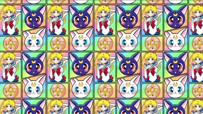 Vorbestellung verschiedener Stoffarten French Terry oder Jersey oder Softshell 323