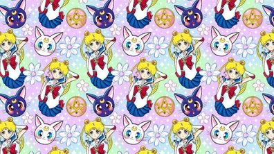 Vorbestellung verschiedener Stoffarten French Terry oder Jersey oder Softshell 324