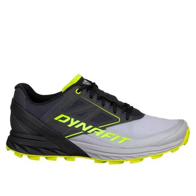 Sportschuhe Dynafit Alpine - leichte Trailrunning-Schuhe fér Herren