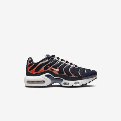Sneakers Nike Air Max Plus schwarz