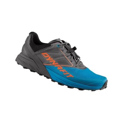 Laufschuhe Dynafit Alpine Trailrunning Multicolor