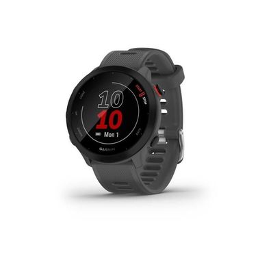 GPS-Smartwatch Garmin Forerunner 55, Grau Monterra