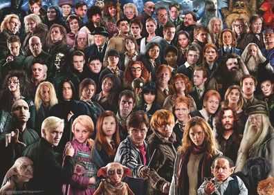 Harry Potter | Challenge