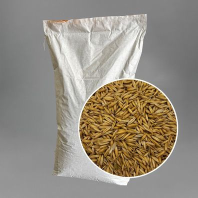 Hafer 20kg ganzer Hafer, gelb, Gelbhafer