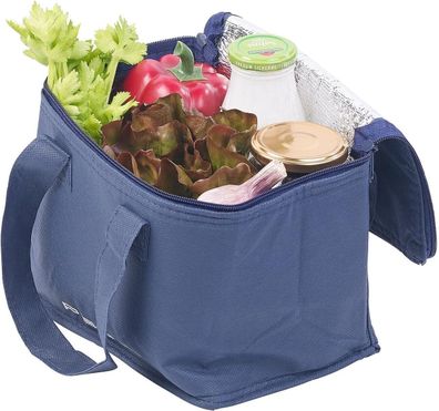 NEU Gefriertasche Isolierte Mini Kühltasche 2 Tragegurten 6L für Strand Outdoor