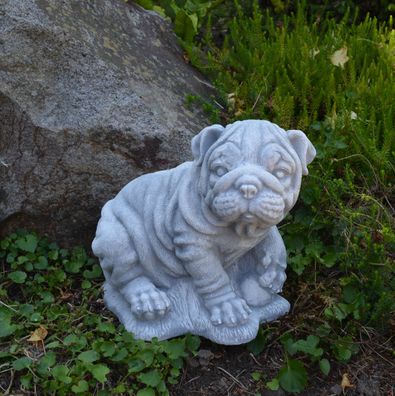 Massive Steinfigur Hund Shar-Pei Tierfigur Gartendeko Raumdeko aus Steinguss