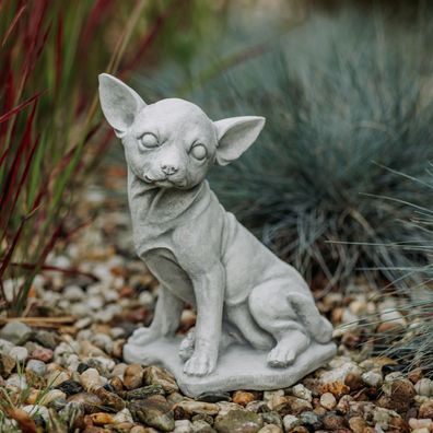 Massive Steinfigur Stein Chihuahua Hund Gartendeko Raumdeko Steinguss frostfest