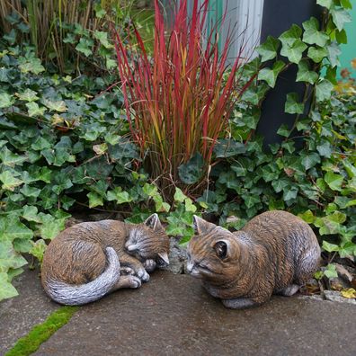 Massive Steinfiguren zwei Katzen im Set braun aus Steinguss frostsicher