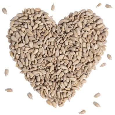 10 - 25 kg Lyra Pet® Sonnenblumenkerne geschält HK Bulgarien