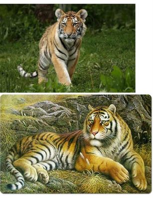 TischSet 3D Tiger Platzset 2erSet Platzdeckchen Poster Bilder Tiere Raubkatzen