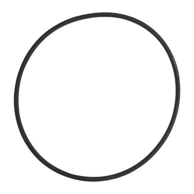 Original O-Ring Thermostat 14455281