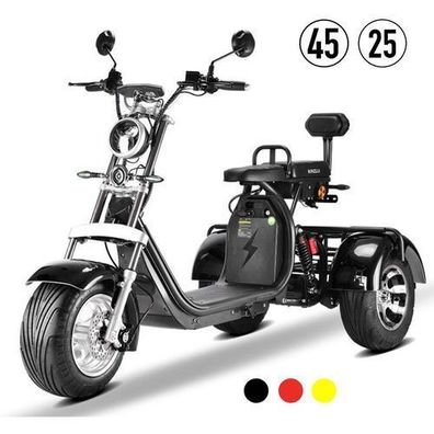 E-Trike CP-3 City Coco 25-45 KM/ H 2.0-3.0 kW Elektromobil Seniorenmobil