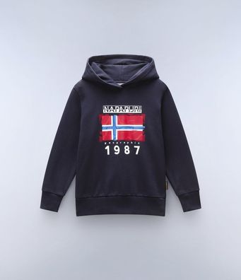 Napapijri Kinder Sweatshirt K B-Mats H NP0A4HY8