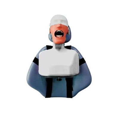 Phantomkopf | Dentale Trainingssysteme