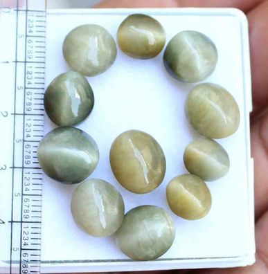 Ulra Rare Chrysoberyll Katzenaugen Cabochone(32410251)