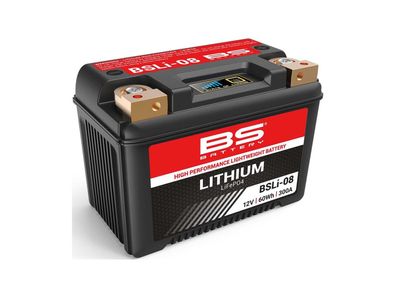 BS-BATTERY LiFePO4 Batterie "BSLI-08" Ersetzt folg wartungsfrei
